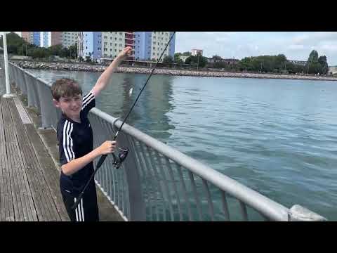 Sea Fishing for mini-species on Gosport pier