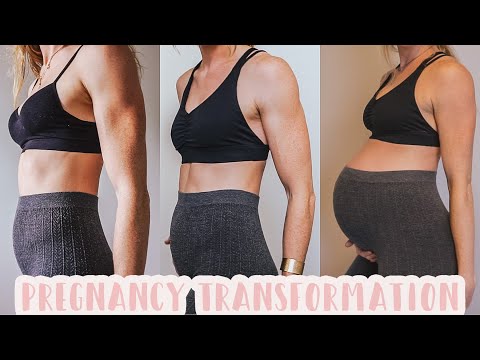 WEEKLY PREGNANCY BELLY TRANSFORMATION