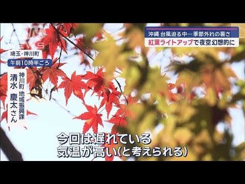 夜空彩る「紅葉ライトアップ」続々！ 沖縄は台風迫る中…季節外れの暑さ【スーパーJチャンネル】(2024年11月15日)