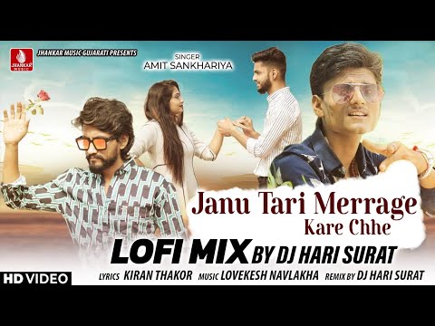 Janu Tari merrage Kare Chhe (Lofi Mix) Amit Sankhariya | New Gujarati Lofi DJ Mix Song 2024