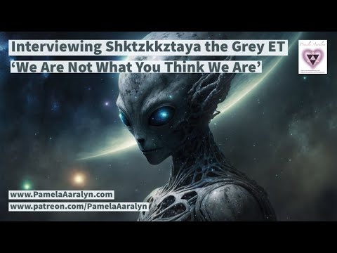 Exclusive Interview with a Grey ET: "We Are Not What You Think!" The Truth About Abductions