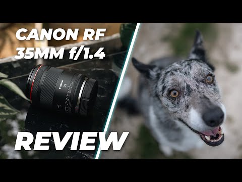 Canon RF 35mm f/1.4L VCM Lens Review | The Ultimate Hybrid Lens?