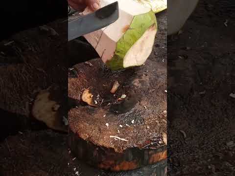 very satisfying fresh coconut water #satisfying #coconutwater #streetfood #youtubeshorts #Gatchie Jr