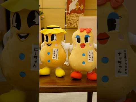 千葉県八街市訪問団による落花生の贈呈 岸田総理 #shorts