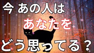 今あの人はあなたをどう思っている？気持ち❤️恋愛タロット占い ルノルマン オラクルカード 細密リーディング