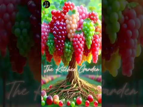 99% successful method is how to grow and plant grape fruit  with stimulants. #garden #trending #love