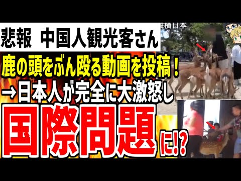 【中国人観光客さん】奈良公園の鹿の頭をぶん殴る動画を投稿し大炎上！日本人から大量批判され国際問題になる可能性も...【ゆっくり解説】