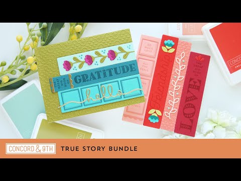 True Story Bundle