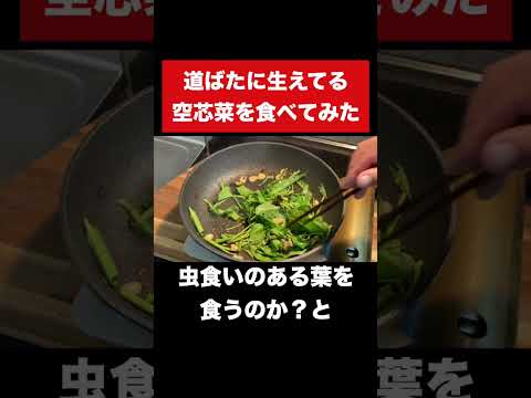 沖縄ではその辺にアレが生えてて食べ放題