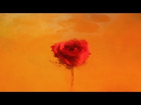 Moses Sumney - Quarrel [Official Audio]