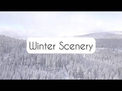 ❄️Winter Scenery❄️ *Music Only*