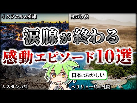 【総集編】涙腺が崩壊する感動エピソード10選【ずんだもん×ゆっくり解説】【BGM】