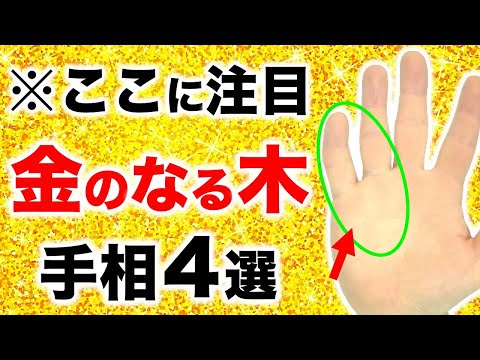 【手相】１万人に１〜２人の大金運！お金のなる木手相４選【マネーツリー】