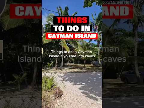 Getting lost in Caves 🔎 let's wander #caves #cavetour #thingstodo #caymanislands cayman