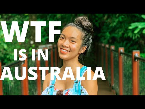 Returning our Rented Campervan Australia After Exploring the Babinda Boulders Queensland Rainforest