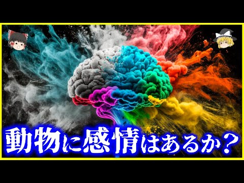 【ゆっくり解説】【最新研究】人間以外の動物に感情あるのか？を解説/動物の感情に関する研究