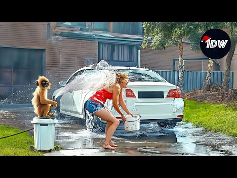 TOTAL IDIOTS AT WORK #358 | Try Not To Laugh | Instant regret compilation 2024