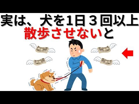 【動物の雑学】実は、犬を1日3回以上散歩させないと・・・