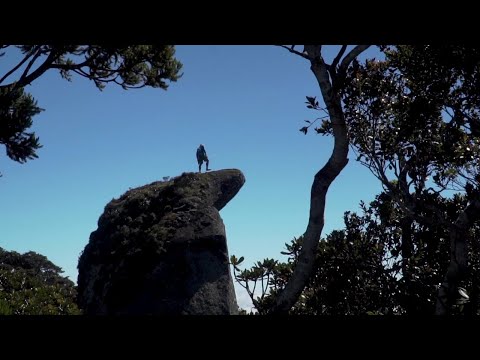 Mt. Sicapoo 2018 (Rosary Trail)