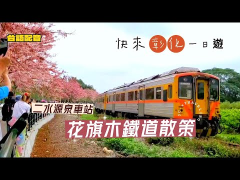 彰化一日遊｜花旗木鐵道散策｜二水源泉火車站｜員林蜀葵花｜【台語Vlog.1】2023.04.06