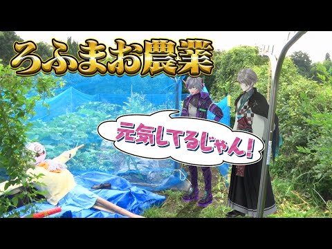 【守り神ぃ…】ろふまお畑に大型台風直撃！？畑の平和は俺たちが守る！！#ろふまお農業