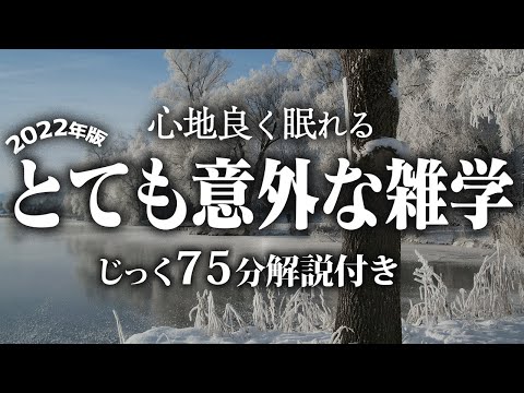 【睡眠導入】とても意外な雑学【リラックス】いつもより深い睡眠を♪