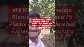 #NH65 2 #acr #mango #farmhous #forsale 75 #lacks #near #hyderabad #telangana #agriculture 9640041044