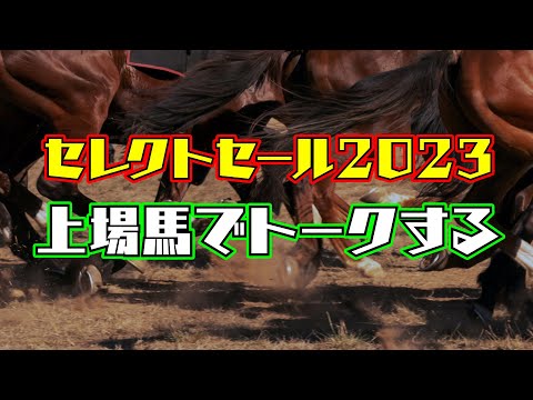 競馬好きがセレクトセール2023の上場馬を見ながらトークする配信  後半【競馬】