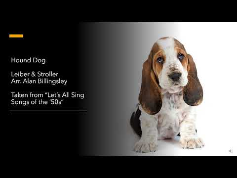 Hound Dog Lyric Video