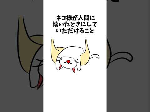 【1分雑学】猫が人間に懐いたときにしていただけること#shorts #猫