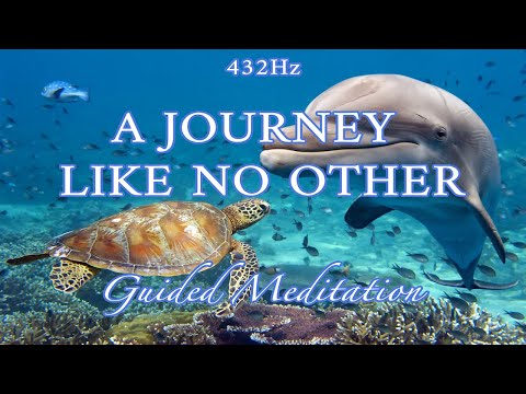 A Journey Like No Other 💙- Guided Meditation: Dive Into Our Ocean on Ocean's Day (8th of June)