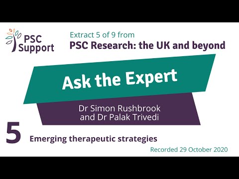 5 Ask the Expert with UK-PSC - Emerging treatment strategies (PSC Support)