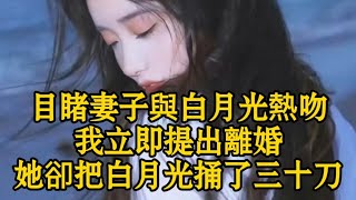 目睹妻子與白月光熱吻我立即提出離婚她卻把白月光捅了三十刀