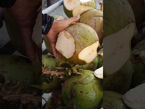 coconut cutting expert Asmr #satisfying #coconut #coconutjuice #streetfood #youtubeshorts #gatchie