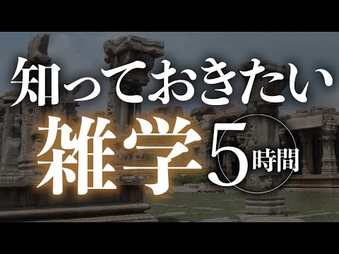 【睡眠導入】最速で入眠雑学5時間【合成音声】