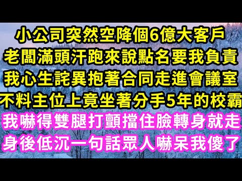 小公司突然空降個6億大客戶，老闆滿頭汗跑來說點名要我負責，我心生詫異抱著合同走進會議室，不料主位竟坐著分手5年的校霸，我嚇得雙腿打顫擋住臉轉身就走，身後低沉一句話眾人嚇呆我傻了#甜寵#灰姑娘#霸道總裁