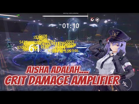 TERBONGKAR! AISHA ADALAH CRIT DAMAGE AMPLIFIER.. || PUNISHING GRAY RAVEN