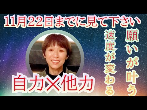 願いを叶えたい人必見✨神々のご縁会議が始まる11月22日までに、やって欲しいことがあります。日々の生活の中で簡単にできることをお伝えしているので、是非ご覧ください🌹