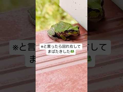 さて、私は何と言ったでしょうか？