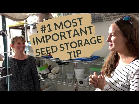 Saving Seeds from your Garden + Storing Seeds for Next Year