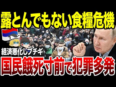 【ゆっくり解説】ロシアの食糧問題がガチでヤバい…！急激な経済悪化で犯罪続出…治安崩壊へ。