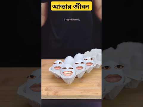 আন্ডার জীবন #funny #comedy #stupidfamily #shorts #food #viral