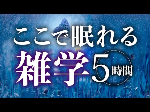 【睡眠導入】ここで眠れる雑学5時間【合成音声】