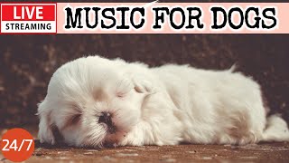 🔴[LIVE] Dog Music🎵Dog Calming Music🐶💖Dog Separation Anxiety Relief💖🦮Dog Sleep Music for Dogs💖2-2