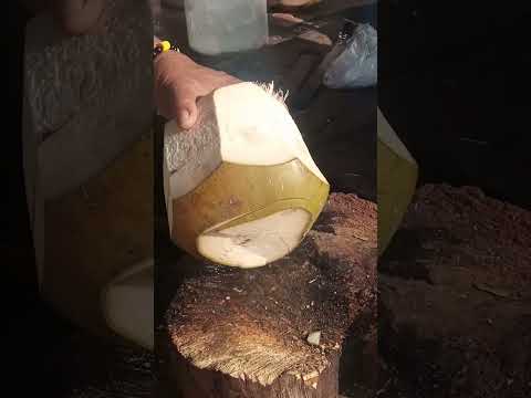 fresh coconut water pH street food #satisfying #coconutwater #streetfood #youtubeshorts #Gatchie Jr