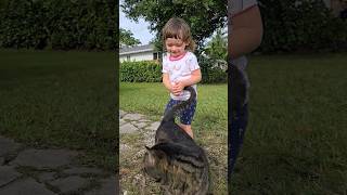 Adorable baby, Abbie, is playing with a cute cat. 🐈 #shorts  #adorablebaby #baby #catlover