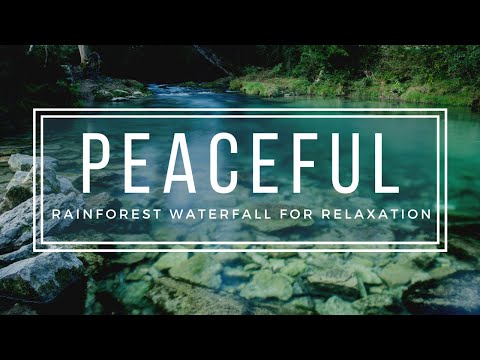 Tropical Rainforest Waterfall Sounds for Sleeping and Relaxation 🌴 - 8 Hours Nature Sounds HD