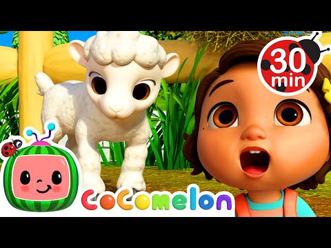 Baby Animal Dance | with Nina and JJ | Cocomelon Nursery Rhymes for Kids