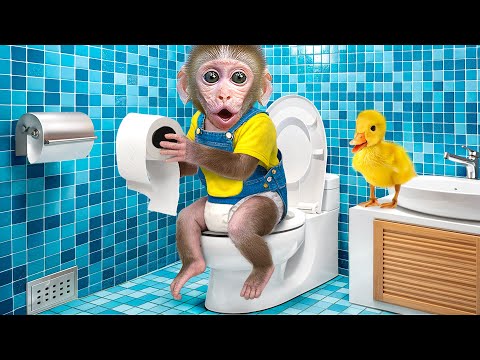 KiKi Monkey goes to the toilet with Duckling & eat Rainbow Jelly at swimming pool | KUDO ANIMAL KIKI