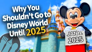 Why You Shouldn't Go to Disney World Until 2025